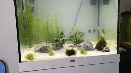 aquarium Aquarium 120L