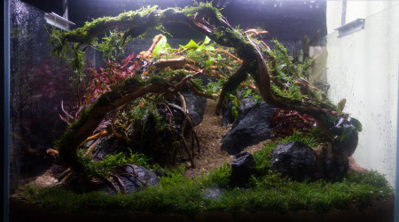 aquarium Hardscape