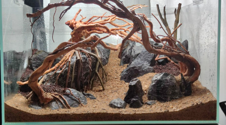 aquarium Hardscape