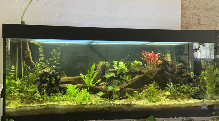 aquarium 450 litres