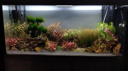 aquarium Aquatlantis 250l