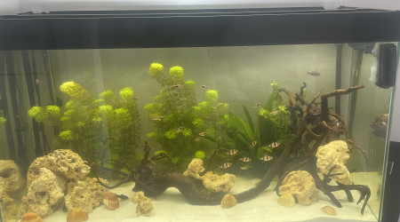 aquarium 200L