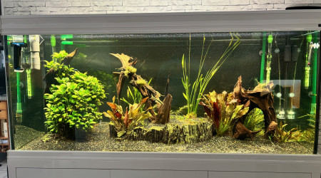 aquarium Mon bac 421 l