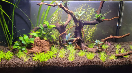 aquarium 30 l