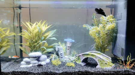 aquarium Mon 70 litres