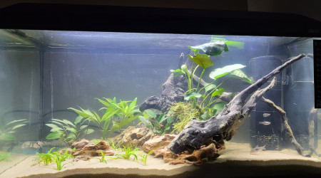 aquarium 60l