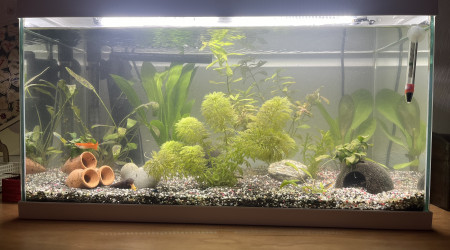 aquarium AquaSalon