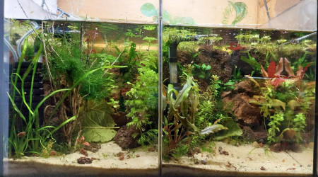 aquarium Projet