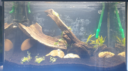 aquarium 60l amazon