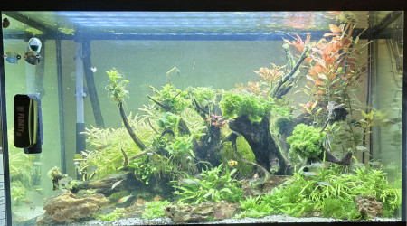 aquarium 175L