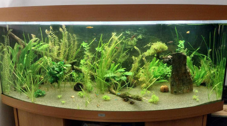 aquarium Juwel vision 450 l