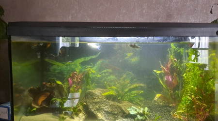 aquarium 60l initio