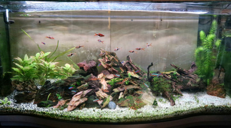 aquarium 130 litres