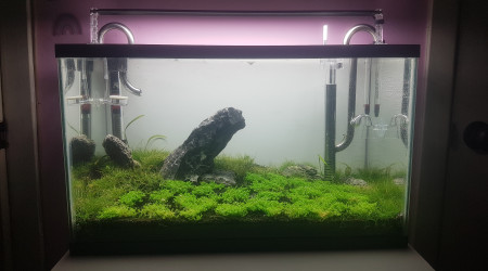 aquarium Furyohin