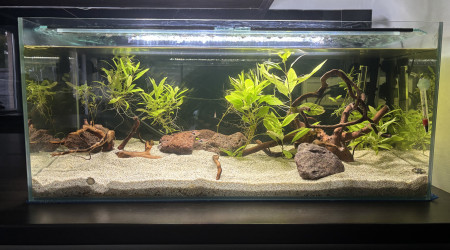 aquarium Mon  bac de 98L