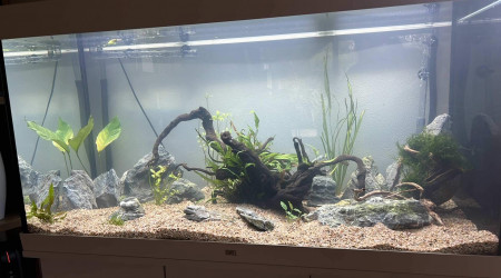 aquarium Aqua360