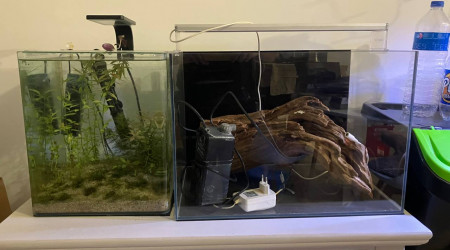 aquarium biotop