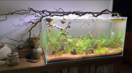 aquarium aquarium 200l