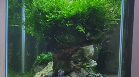 aquarium Nano