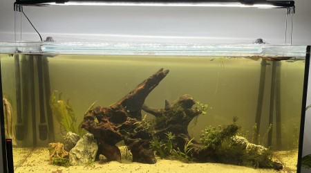 aquarium 200L Mangrove