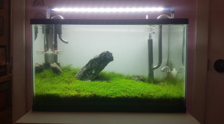 aquarium Furyohin