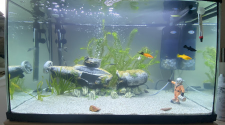 aquarium Première aquarium