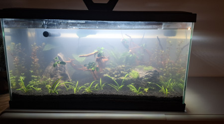 aquarium 60L