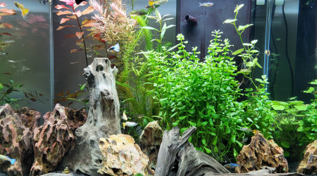 aquarium CIANO EMOTION PRO 60