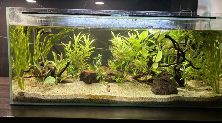 aquarium Mon  bac de 98L