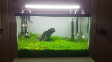 aquarium Furyohin