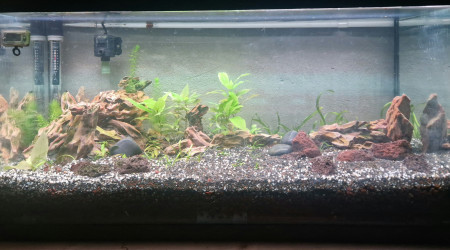 aquarium 90l filtre sous sable