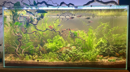 aquarium aquarium 200l