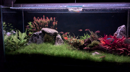 aquarium Prairie