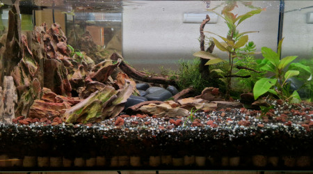 aquarium 40l