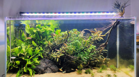 aquarium 112l