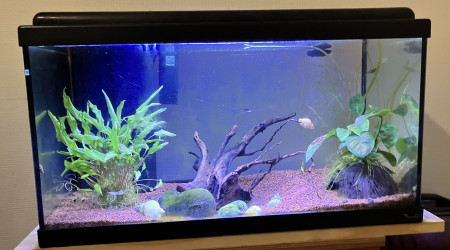 aquarium 60L Led