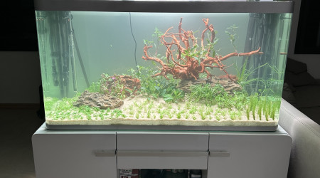 aquarium Osaka 320L