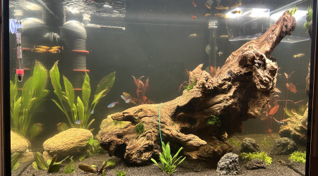 aquarium 150 litres