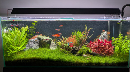 aquarium Prairie