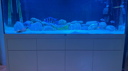 aquarium Aquatlantis Sublime 1000L