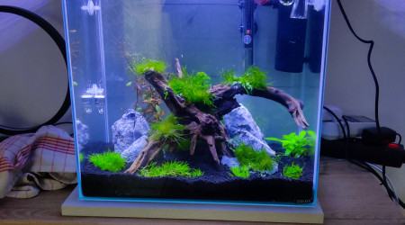 aquarium Zolux 40L