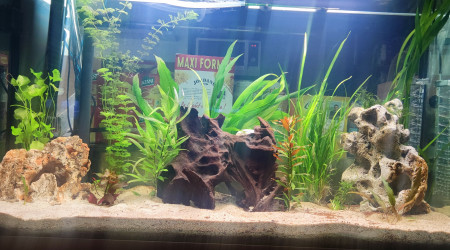 aquarium Fluval 390L