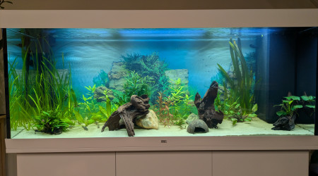 aquarium Rio 450