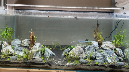 aquarium 360L renouveau