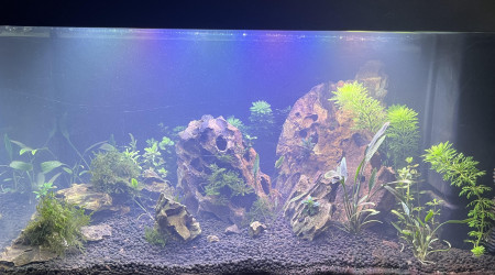 aquarium Aquarium 60L Quentin