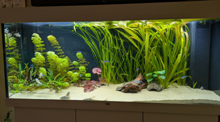 aquarium Rio 240 - TV