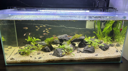 aquarium Mon  bac de 98L