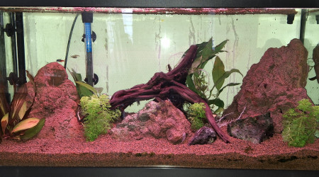 aquarium Aquarium 80L