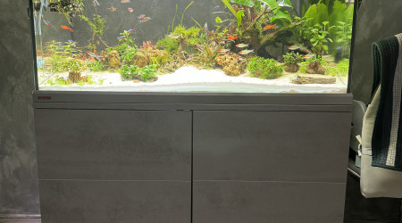 aquarium EHEIM Proxima 250