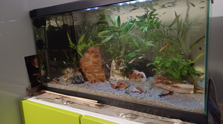 aquarium Aquarium 60L